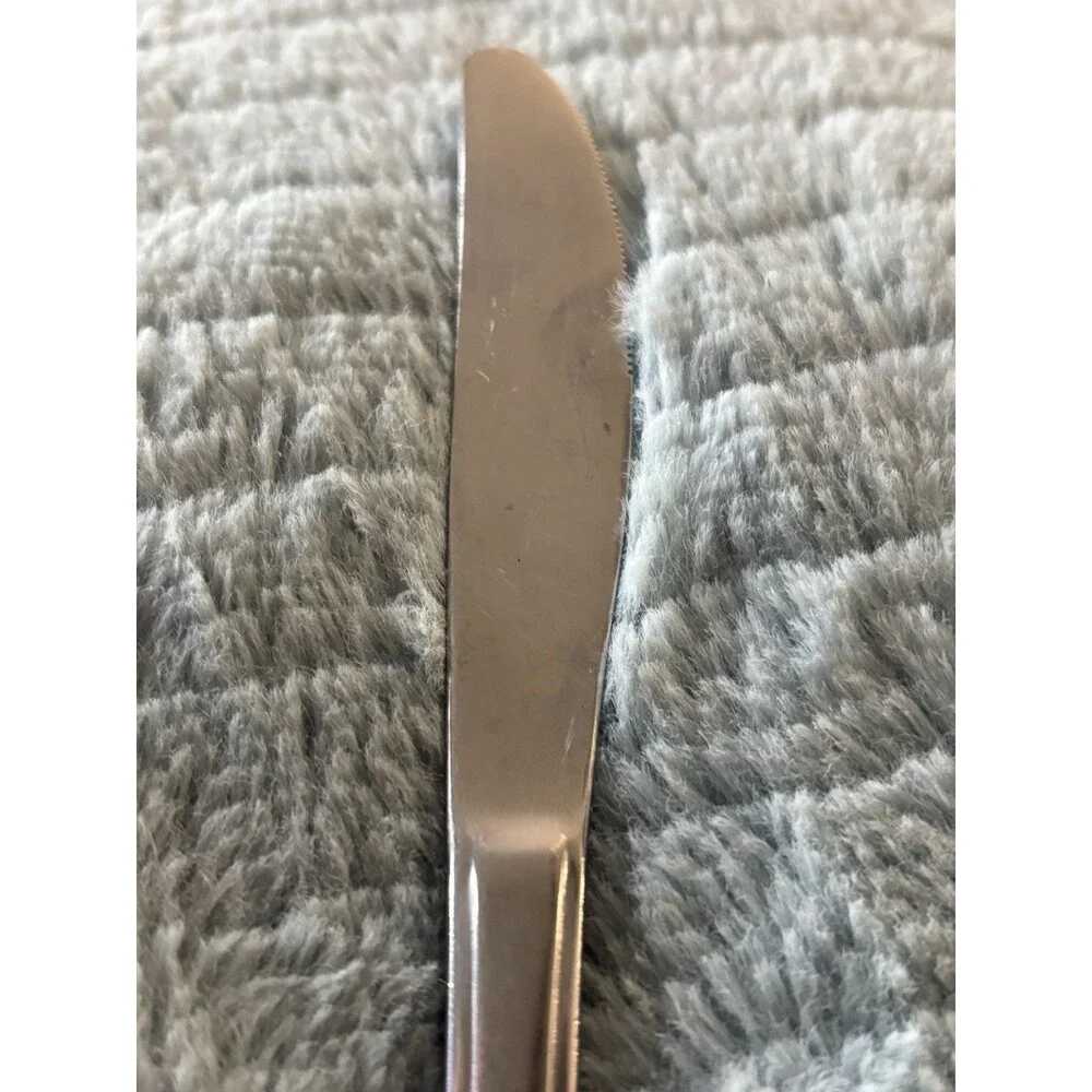 Oneida ROSEANNE Stainless Flatware 1 DINNER KNIFE